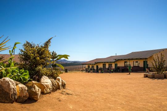 UN Tourism with TUI Care announce partnership for joint project, Colourful Cultures