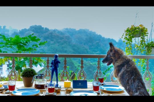 SaffronStays launches Junglebrooke, catering to pet and people stays