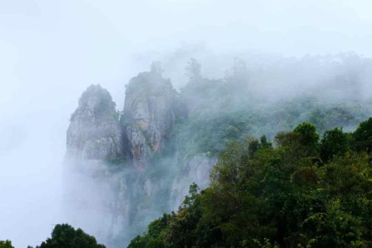 Kodaikanal forest sites offer free tourist entry till May 31