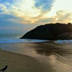 Karnataka Tourism Secy. pushes for greater tourism potential of Udupi, reviews infra projects