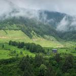 Zostel records surge of 76% in mountain bookings this June