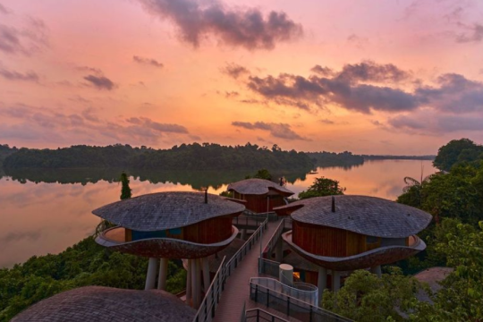 Opening of Mandai Rainforest Resort by Banyan Tree and Rainforest Festival