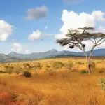 Kenya emerges as sustainable tourism leader; sector’s economic contribution reaches USD 12.7 bn in 2025