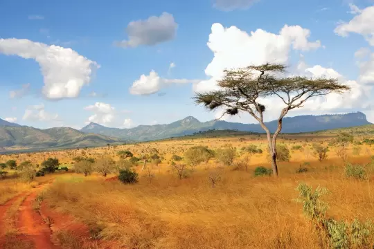 Kenya emerges as sustainable tourism leader; sector’s economic contribution reaches USD 12.7 bn in 2025