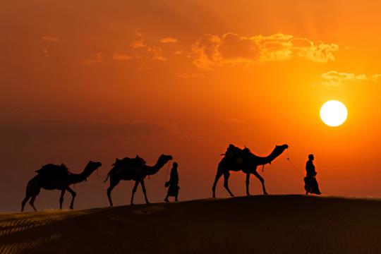 Rajasthan unveils ‘Rajasthan in Summer’ campaign to drive year-round tourism