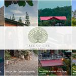 IHCL debuts in Odisha with Tree of Life