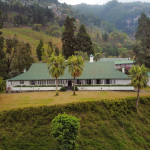 CGH Earth makes its Eastern India debut with The Singell Tea Estate