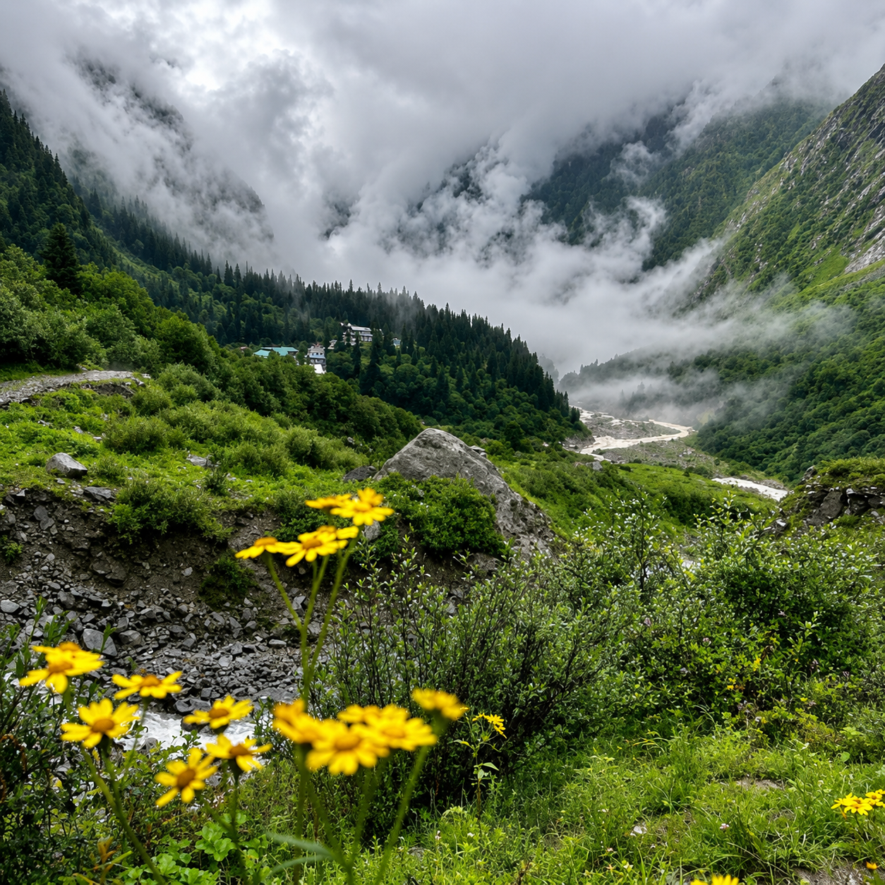 zingbus records 5x surge in bookings for Valley of Flowers, Hemkund Sahib corridor