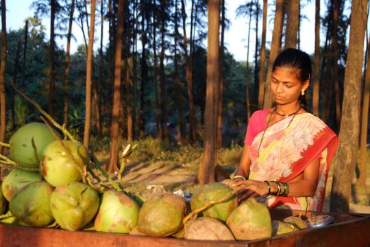 MTDC, State Govt launch ‘AAI’ Policy to encourage women in tourism sector