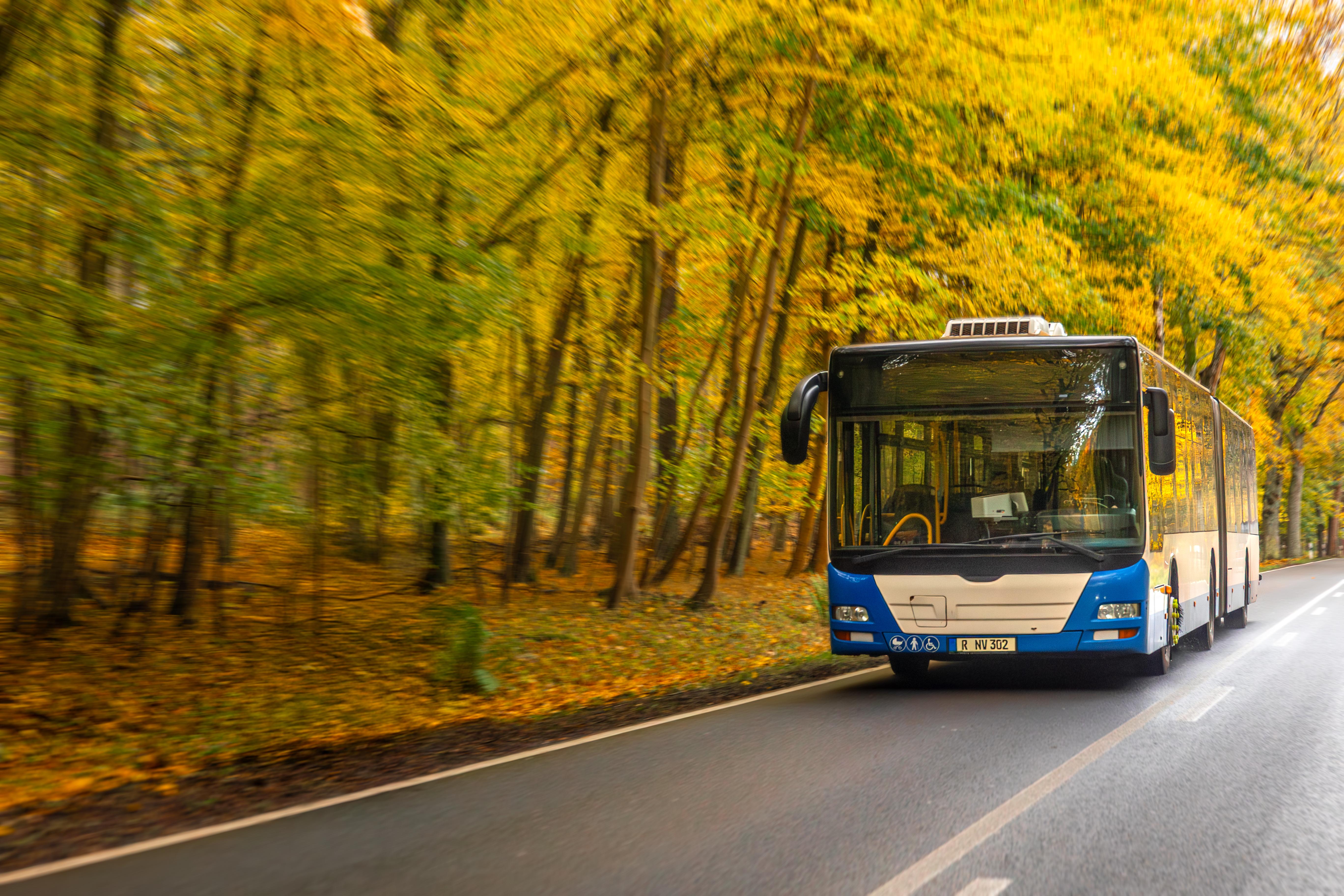 76% of India’s young & working-age travellers to increase shared mobility usage: IntrCity SmartBus
