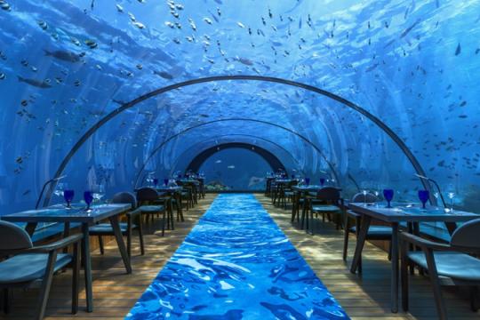 Crown & Champa Resorts appoints Think Strawberries as official Indian representative