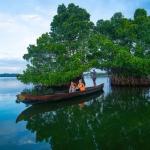 Kerala explores sustainable tourism options for Munroe Island