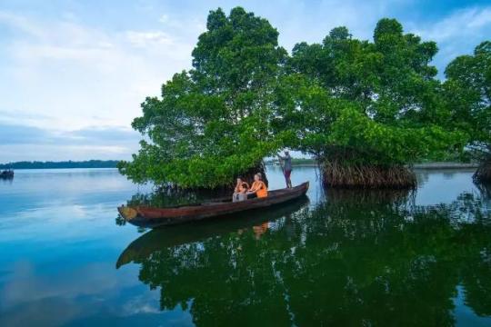 Kerala explores sustainable tourism options for Munroe Island