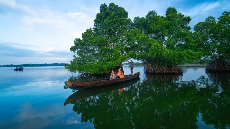 Kerala explores sustainable tourism options for Munroe Island