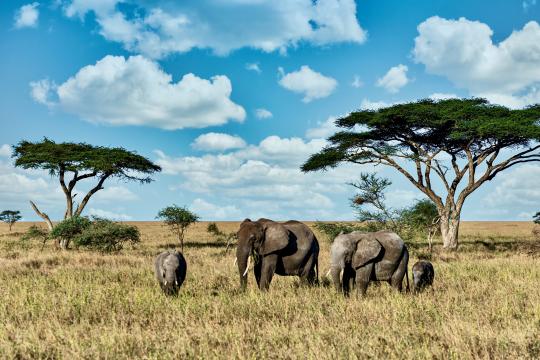 Central & South America’s tourism GDP to grow by  4.1% in 2026: WTTC