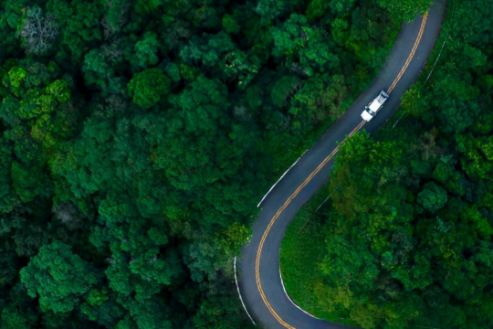 EY-FICCI report urges 9% GST reduction for premium stays to boost India’s global competitiveness