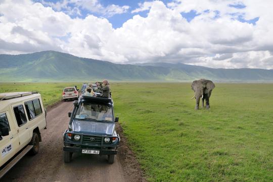 Tanzania records 2.4 Mn international arrivals in 2025; India among top 6 markets