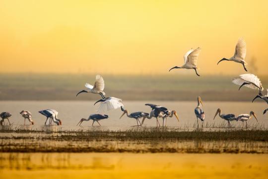 Agoda reports 41% surge in travel interest for Kochi, Coimbatore, Alwar, & Cuttack