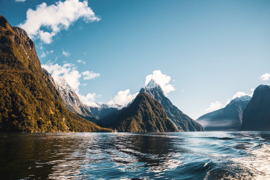 TBO partners with Tourism New Zealand to deepen engagement with Indian travellers