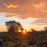 Namibia Tourism unveils plans to boost Indian market presence; set to launch Luxury Travel Market in Dec 2026