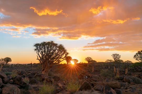 Namibia Tourism unveils plans to boost Indian market presence; set to launch Luxury Travel Market in Dec 2026