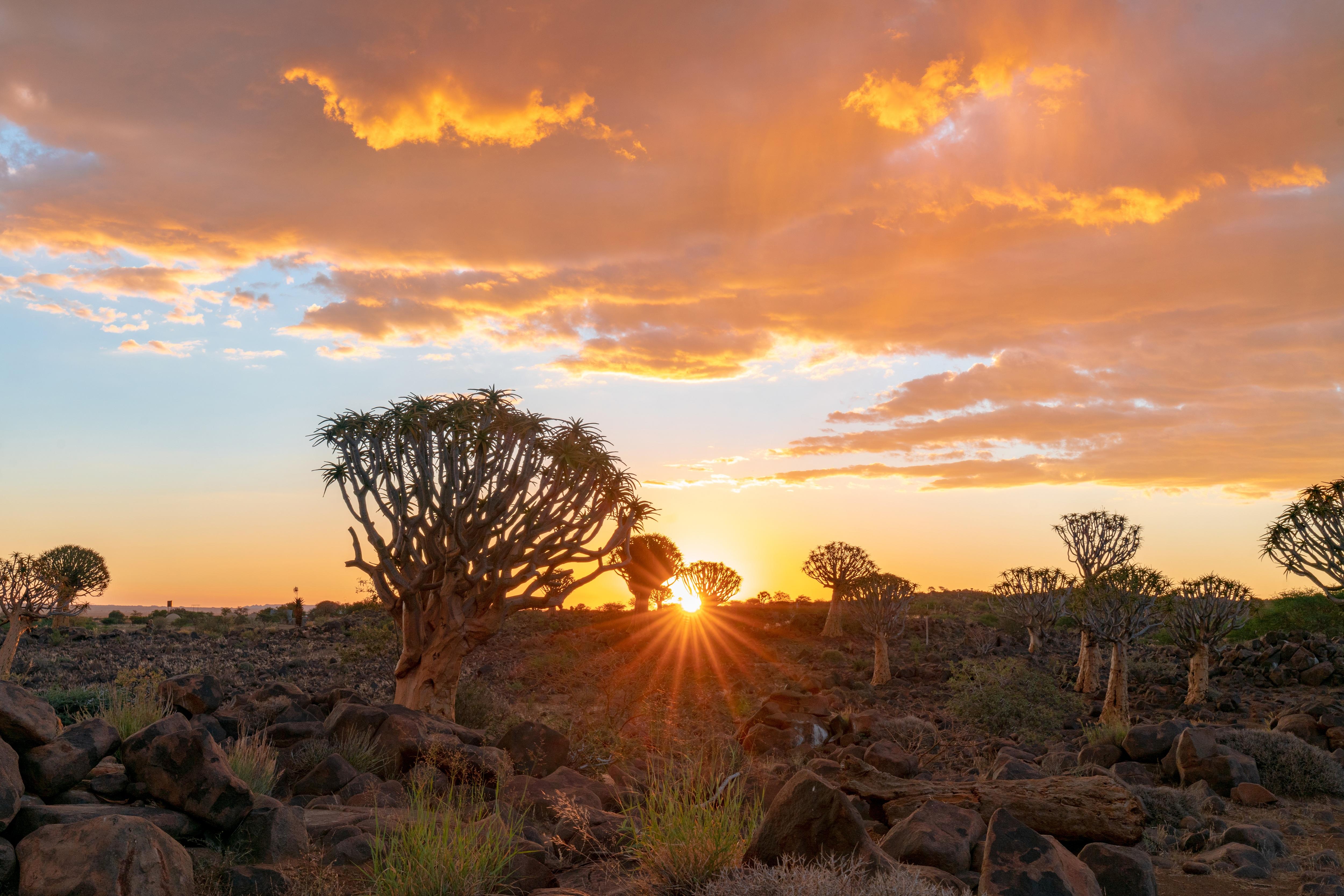 Namibia Tourism unveils plans to boost Indian market presence; set to launch Luxury Travel Market in Dec 2026