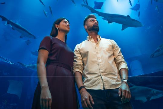 DCT Abu Dhabi signs 9 joint marketing partnerships with Indian travel companies