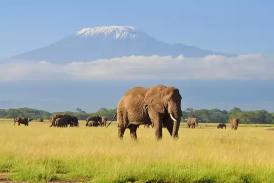 Kenya unveils dedicated social media platforms for the Indian market