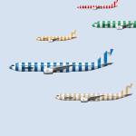 AVIAREPS India appointed GSA for Condor in India
