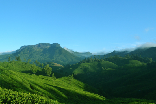 Thenmala Ecotourism Promotion Society seeks statewide expansion