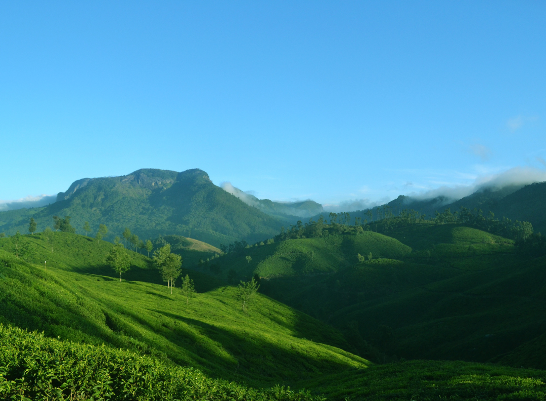 Thenmala Ecotourism Promotion Society seeks statewide expansion