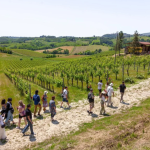 85% of travellers opt for day trips as bookings grow 110%: The Tour Guy