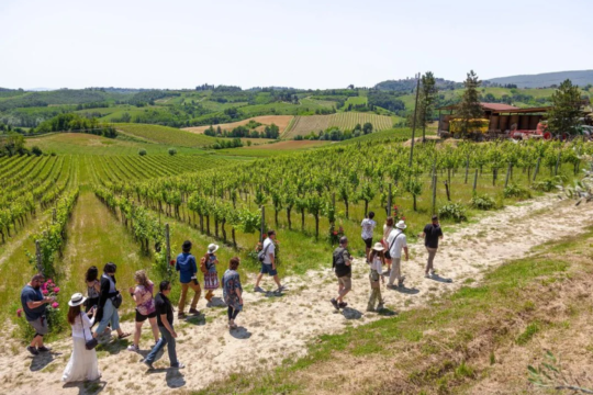 85% of travellers opt for day trips as bookings grow 110%: The Tour Guy