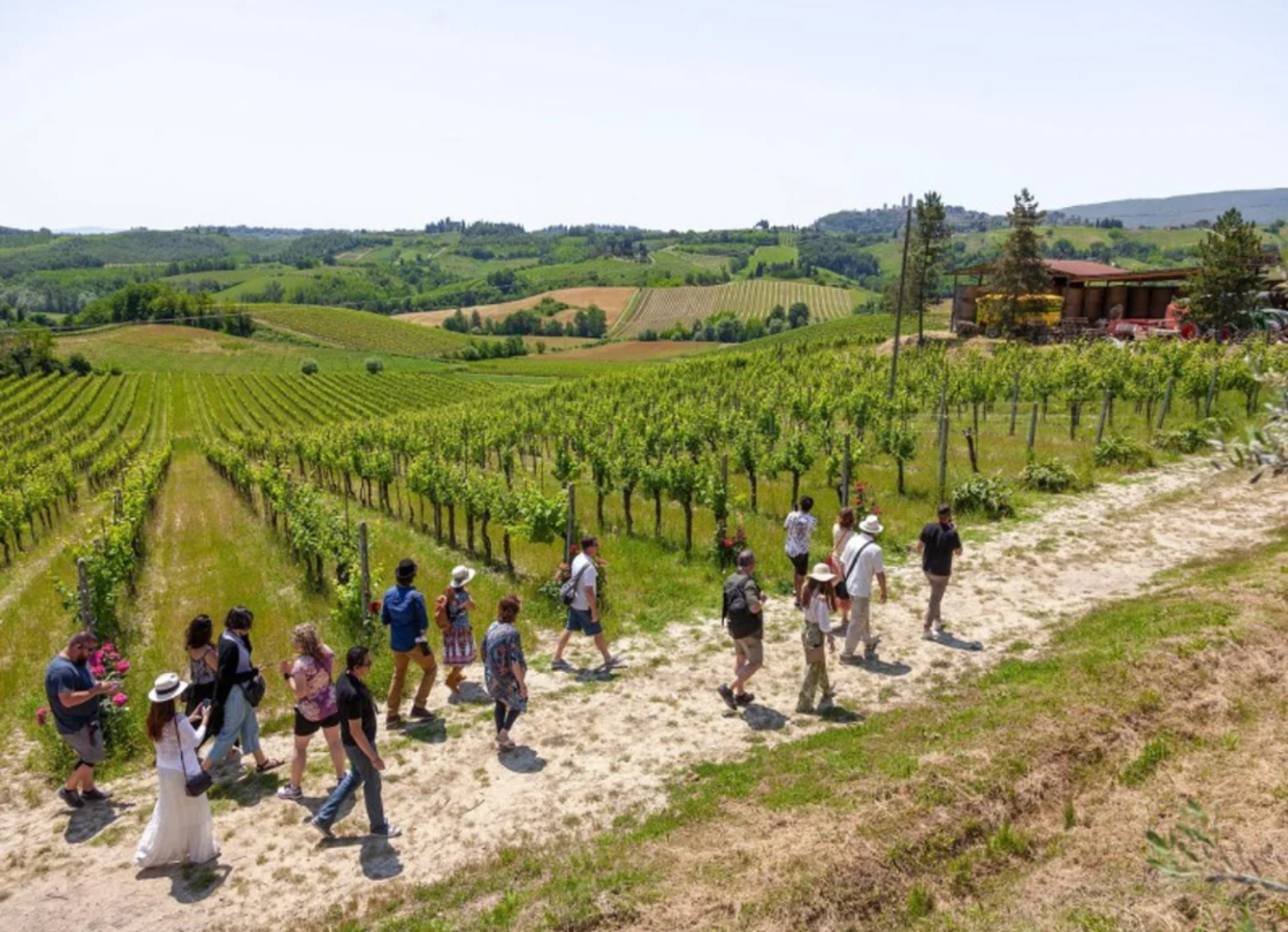 85% of travellers opt for day trips as bookings grow 110%: The Tour Guy