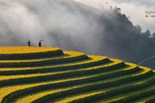 87% of Indians plan to travel this summer; 60% prefer domestic: Report