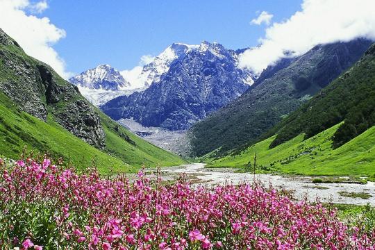 Uttarakhand’s Valley of Flowers reopens to visitors
