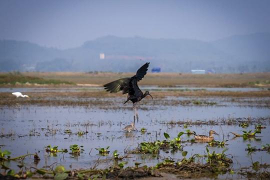 Odisha strengthens its conservation-led tourism focus