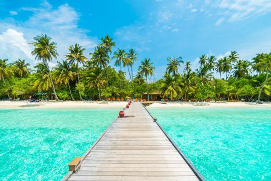 Maldives sets sights on 200,000 Indian visitors; unveils new campaign