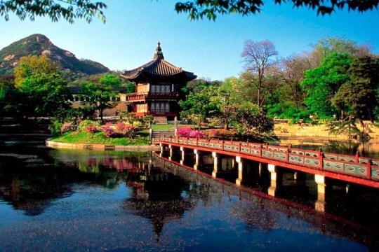 South Korea witness 47.9% surge in Indian arrivals