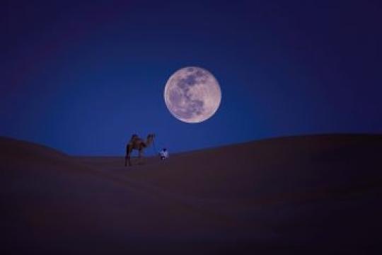 Qatar Launches Astro-Tourism Experiences