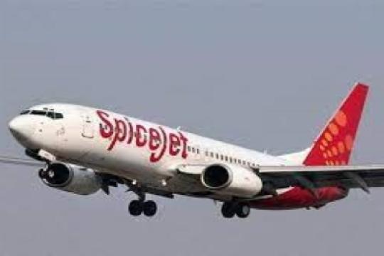 SpiceJet Launches Online Visa Service