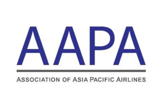 Domestic travel to lead recovery: AAPA