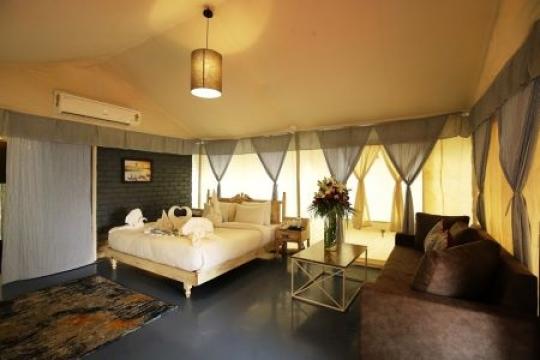 Fern Hotels Ties Up with SpiceJet’s IFE Platform SpiceScreen