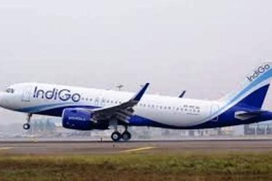 IndiGo launches festive sale; fares starting from Rs 999