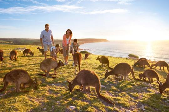 Indians amongst top 5 spenders in South Australia
