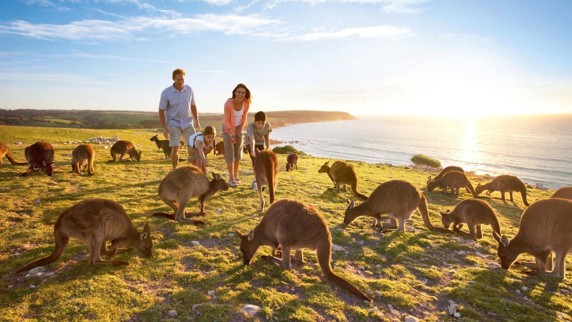 South Australia witnesses 18% up in Indian visitations