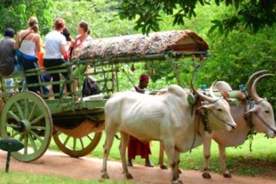 Ministry Invites Feedback on the Draft National Strategy and Roadmap for Development of Rural Tourism