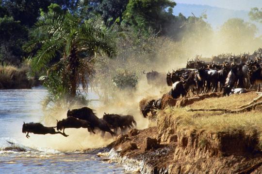 Kenya eyes film tourism from India