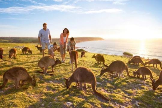 Tourism Australia launches 5th Great Australian Airfare Sale