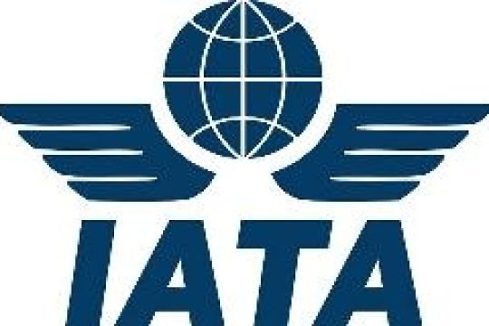 Airlines will be challenged to meet forecast demand growth: Study